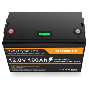 Batterie au Lithium fer phosphate 12.8v 100Ah, Pack de Batteries ioniques 200Ah avec écran LCD APP pour batterie de stockage d'énergie solaire