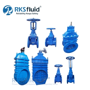 China water valve manufacturer factory non rising DIN F4 F5 ductile iron metal seated gate valve PN16
