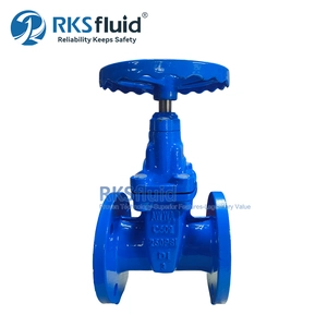 API DN600 100mm Ductile Cast Iron Soft Seal Flange Gate Valve Class150 Price