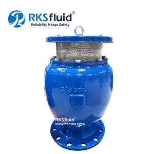 RKSfluid Valve Factory Price, DI Automatic Air valve DN 200 PN16