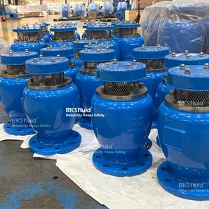Air Release Valve, Ductile iron, DN80 PN25