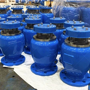 BS EN 1092-2 法兰组合空气阀 DN50 DN80 DN100，用于供水管路