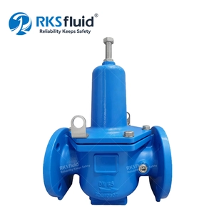 用于建筑基础设施的定制 NPT 直动式减压阀 DN50 PN16
