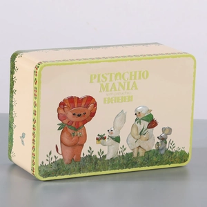 Emballage de boîte métallique en fer blanc rectangulaire personnalisé