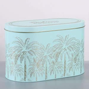 Boîte en fer blanc de forme irrégulière personnalisée en gros