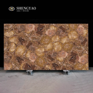 Lastra di pietra preziosa di legno pietrificata texture rotonda