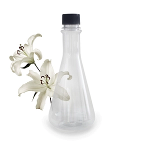 Erlenmeyer Boccetta Conica Forma Bottiglie Di Succo Di Plastica 380ml 380ml