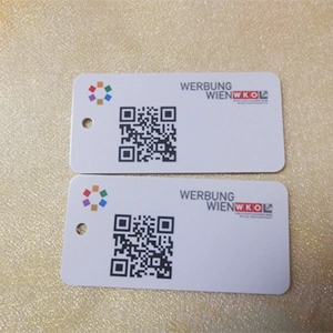 NXP Mifare S50 علامة NFC PVC الصلبة المخصصة مع ثقب مثقوب