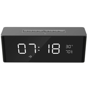 Taşınabilir kablosuz hoparlör NSP-0221
