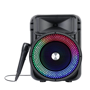 El altavoz Bluetooth con luces coloridas multicolores para llevar al aire libre se puede conectar al micrófono exterior NSP-0297