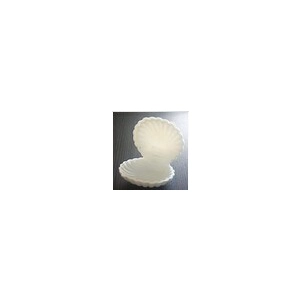 Fashion design a conchiglia a forma di scatola di gioielli bianco