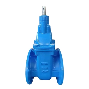 PN10 PN16 GGG50 Valve de porte en fonte ductile BS5163 Valve de porte assis en métal pour traitement de l'eau