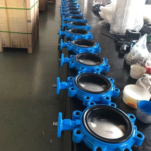 RKSfluid DN200 PN16 CF8M DUCTILE DUCTILE DUG TYPE BUTPARD VALVE Fournisseur