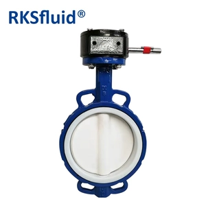 Válvula de mariposa de la válvula de mariposa de hierro fundido RKSfluid SS Disc Ptfe