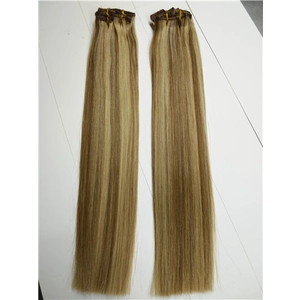 중국 100% Human Indian Smooth Silky Straight Clip In Remy Hair Extension 제조업체