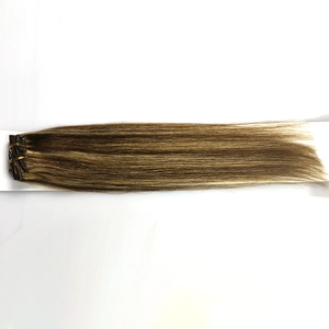 China 2015 Best Clip in Hair Extension for Hair Salon Equipment , Virgin Remy Hair Extension Clip In Hersteller