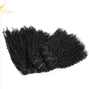 중국 2016 Whosale 100% Human hair high quality brazilian virgin afro kinky curly human hair wig for black women 제조업체