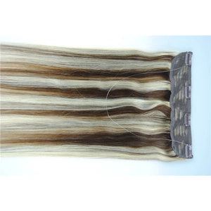China 8-30inch straight fish line human flip in halo hair extensions dropship fabricante