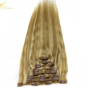 중국 Alibaba China Free Shipping cheap 100% human hair clip in hair extension 제조업체