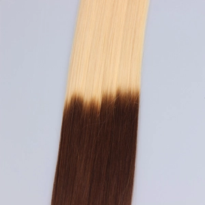 China Double Drawn Human Hair U tip hair extensions Hersteller