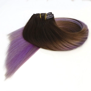 중국 Full Cuticle Human Remy Hair Clip In Extension Double Drawn Best Quality Russian Human Hair 제조업체