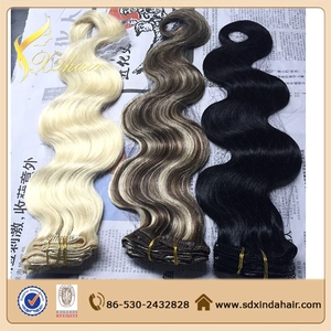 중국 Hot Selling Brazilian Clip In Hair Extension 제조업체