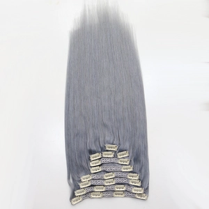 중국 Hot selling Timly delivery grey hair clip in extensions 제조업체