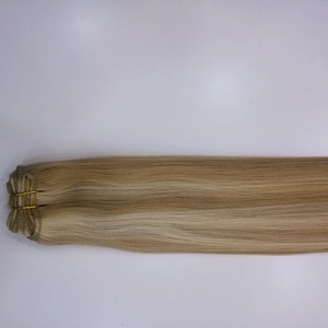 porcelana Virgin Brazilian Cheap Hair Weft fabricante