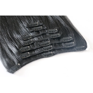 중국 Wholesale Cheapest 100% Indian clip in hair extension 제조업체