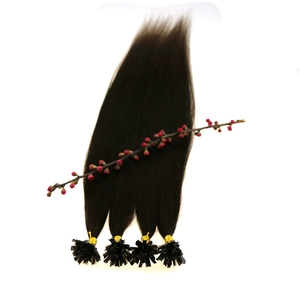 China Wholesale Various High Quality Stick Tip Hair Human Hair Extension Products from Global remy 1g Stick Tip Hair manufacturer
