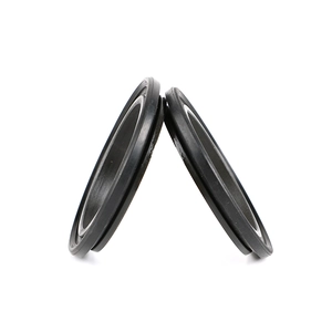 Механические уплотнения для Rvton Model R1920L-A GZ 76,95-102