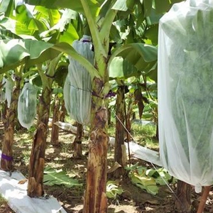 Bananen-Bündel-Abdeckungs-Lieferant, pp. Nicht gesponnene Bananen-Bündel-Abdeckung, Bananen-Schutz-Abdeckungs-Großverkauf in China