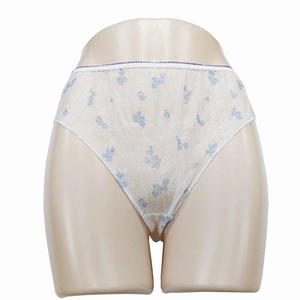 Ropa interior desechable para adultos de China, venta al por mayor, bragas desechables para mujeres, OEM para masaje, Spa, Hospital
