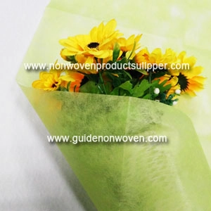 GTTNp-tg Tender Green Color Polyester Spunbond Tecido não tecido para floristeria Embalagem