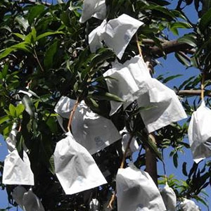 Proveedor de cubierta de mango, Cubierta de mango de polipropileno no tejido Spunbond, Fábrica de cubierta de protección de mango en China