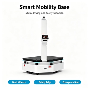 BSI-SFC 300KG Profile Lifting AGV Robot