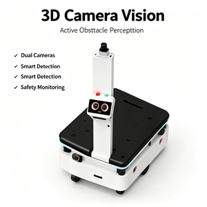 BSI Delivery Robot