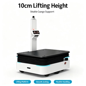 BSI Logistics Robot Max Payload-100KG/300KG/600KG