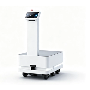 Delivery Robot Max Payload 100KG/300KG/600KG