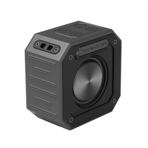 Bracket-Golf-Lautsprecher: Eine neue Produktchance für Outdoor-Audio-Marken