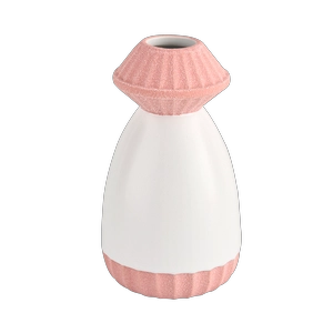 Tagagawa ng mga walang laman na pandekorasyon na ceramic diffuser na bote