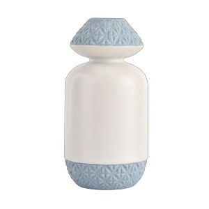 Moderne Duftornament-Keramik-Reed-Diffusorflasche, luxuriös, leer