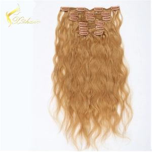 China 2016 High Quality Cheap Price Seamless Clip In Hair Extensions Hersteller
