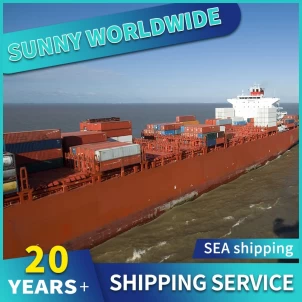 DDP-Dropshipping-Spediteur, Luftfracht, schneller Versand von Guangzhou, Shenzhen, China nach Großbritannien, Philippinen, Frankreich, Deutschland, Australien