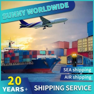 swwls Agente de logística de Shenzhen DDP transportista marítimo China a Emiratos Árabes Unidos Malasia Tailandia