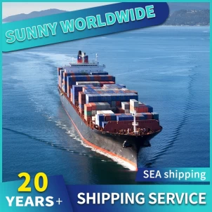 Professional Frachtwaschbeauftragter USA Sonderzeilungstür Air Versand Frachtdienst von China bis USA Sea Shipping