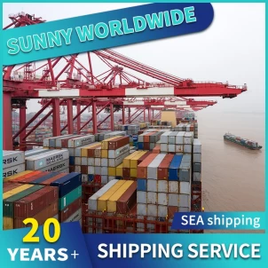 SWWLS Professional Door -to -Tür -Service in Shenzhen Sea Fracht von China nach Südafrika