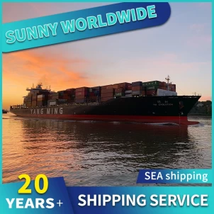 SWWLS Sea Shipping von Qingdao nach Großbritannien Frankreich DDP DDU Sandalen für Frauen und Damen Shipping Agent