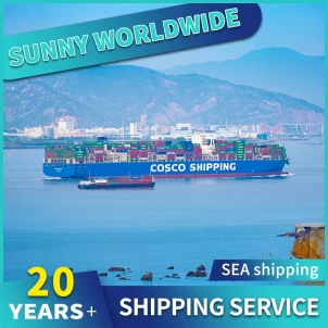 Swwls Seefracht von China nach Brasilien LCL-Logistikdienstleistungen von Tür zu Tür, beste Preise DDP