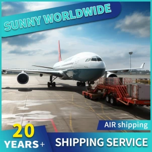 Promotor de carga aérea del servicio Swwls CIF desde China Envío desde China a tarifas de envío de Canadá
